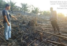 Titik Api Terpantau Dicitra Satelit, Polisi Lakukan Pengecekan Lokasi