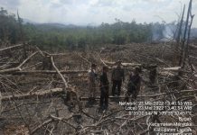 Kebakaran Lahan Terpantau Melalui Citra Satelit, Polisi Lakukan Cek TKP