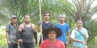 Jokowi Buka Ekspor CPO, Petani Sawit di Kalbar Beri Apresiasi