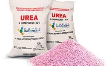 Petani di Labusel Keluhkan Sulitnya Mendapatkan Pupuk Bersubsidi