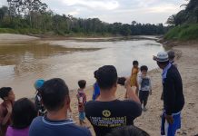 Kemunculan Buaya di Sungai Landak, Warga Gelar Ritual Buang-Buang