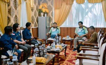 Wabup Ketapang Farhan Terima Audiensi DPD AMPI