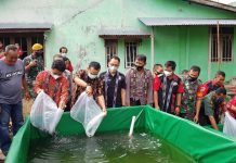 Pemberdayaan Masyarakat Desa Melalui Budidaya Ikan Lele Desa Hilir Kantor Ngabang