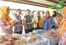 Ketua dan Wakil Ketua PKK Ketapang Jadi Juri Penilaian Lomba PKK Tingkat Kecamatan