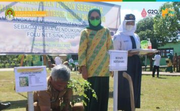 Pemkab Ketapang Dukung Folu Net Sink Tahun 2030