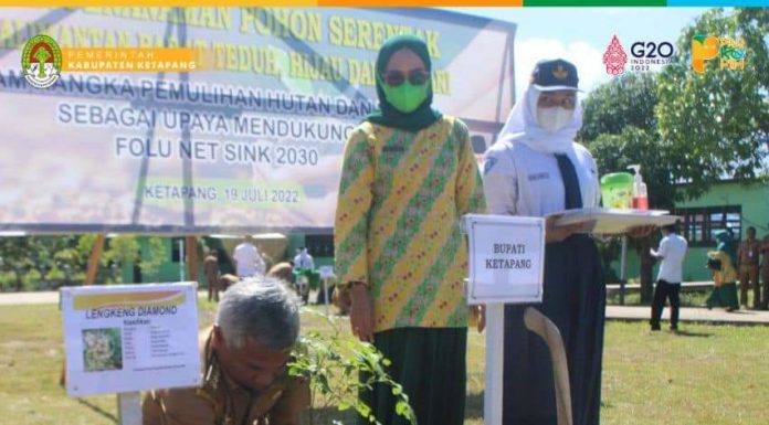 Pemkab Ketapang Dukung Folu Net Sink Tahun 2030