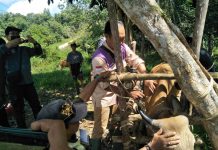 Hewan Ternak Warga di Desa Landau Tuban Divaksin