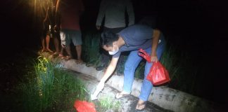Pergi Mencari Keong, Seorang Perempuan Ditemukan Meninggal Dunia Dilokasi Persawahan di Desa Anik Dingir