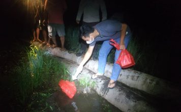 Pergi Mencari Keong, Seorang Perempuan Ditemukan Meninggal Dunia Dilokasi Persawahan di Desa Anik Dingir