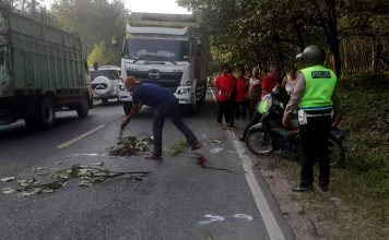 Tabrakan Maut Libatkan Dua Sepeda Motor, Dua Orang Meninggal Dunia