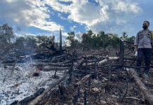 0.8 Hektar Lahan di Desa Bora Terbakar, Polisi Lakukan Pengecekan Lokasi