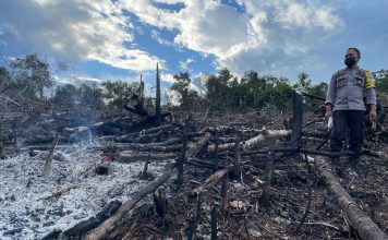 0.8 Hektar Lahan di Desa Bora Terbakar, Polisi Lakukan Pengecekan Lokasi