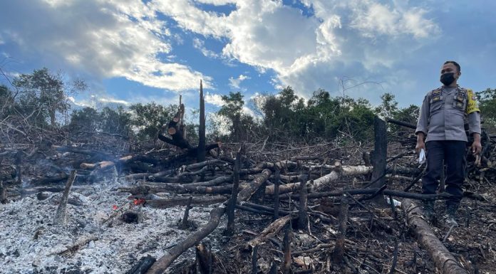 0.8 Hektar Lahan di Desa Bora Terbakar, Polisi Lakukan Pengecekan Lokasi