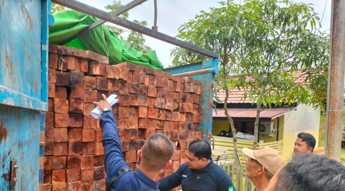 Tidak Dilengkapi Dokumen, Polisi Amankan Trcuk Pengangkut 233 Kayu Olahan di Melawi