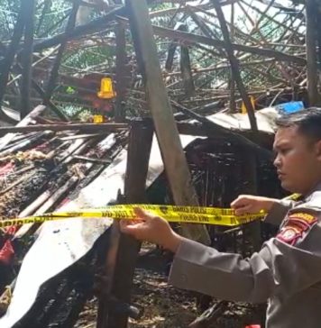 3000 Ekor Ayam Terpanggang Dalam Kebakaran Kandang Ayam di Desa Sungai Mawang