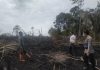Temukan 0,7 Hektar Lahan Terbakar di Desa Ladangan, Polisi Lakukan Pengecekan