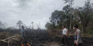 Temukan 0,7 Hektar Lahan Terbakar di Desa Ladangan, Polisi Lakukan Pengecekan