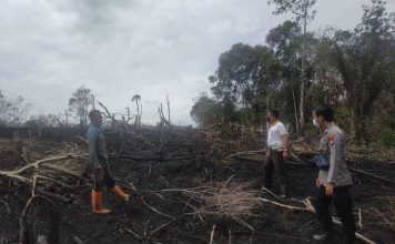 Temukan 0,7 Hektar Lahan Terbakar di Desa Ladangan, Polisi Lakukan Pengecekan