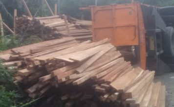 Truck Pengangkut Kayu Olahan Terbalik di Tanjakan Peropelat