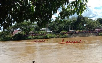 14 Klub Berlaga Dalam Lomba Perahu Dragon Boat Cup I di Sungai Landak