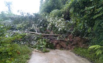 Tanah Lonsor Tutupi Akses Jalan Dari Desa Sungai Keli Menuju Ngabang