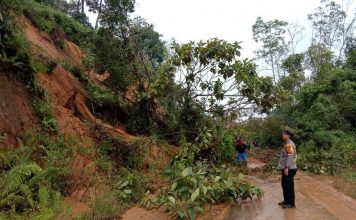 Tujuh Titik Tanah Longsor Timbun Ruas Jalan Provinsi Nanga Pinoh-Kota Baru
