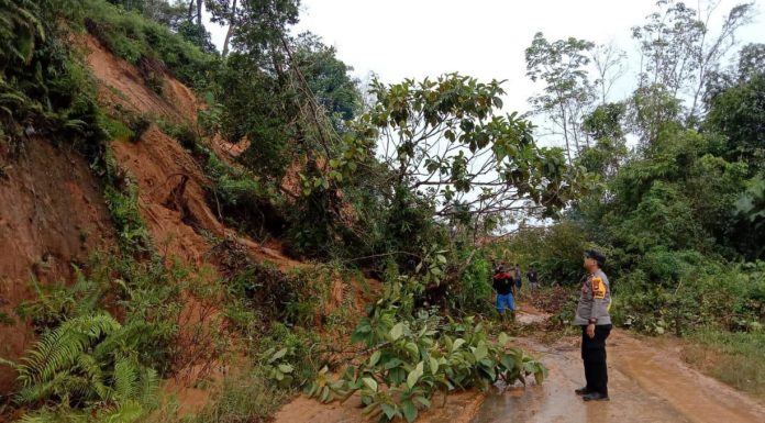 Tujuh Titik Tanah Longsor Timbun Ruas Jalan Provinsi Nanga Pinoh-Kota Baru