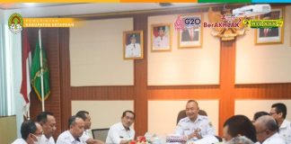 Formasi Tenaga Pendidik Hingga Kesehatan Masih Mendominasi Penerimaan PPPK Tahun 2022