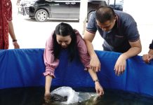 Karolin Ajak Masyarakat Manfaatkan Lahan Untuk Budidaya Lele