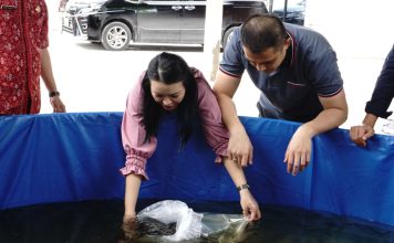 Karolin Ajak Masyarakat Manfaatkan Lahan Untuk Budidaya Lele