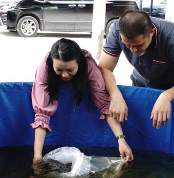 Karolin Ajak Masyarakat Manfaatkan Lahan Untuk Budidaya Lele