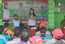 Petani di Jelimpo Ikuti Sosialisasi Pengendalian Hama Terpadu dan Penyakit Tanaman Pangan