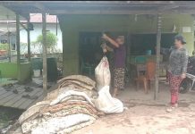 Warga Desa Kayu Ara Harapkan Adanya Kenaikan Harga Karet