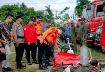 8,4 Hektar Lahan Diketapang Terbakar Sepanjang Januari Hingga Februari 2023