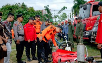 8,4 Hektar Lahan Diketapang Terbakar Sepanjang Januari Hingga Februari 2023