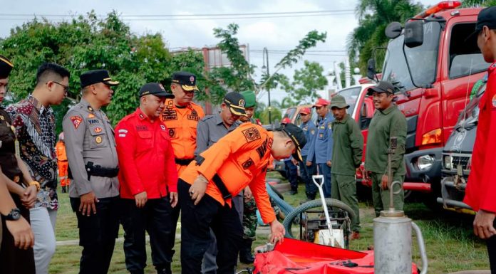 8,4 Hektar Lahan Diketapang Terbakar Sepanjang Januari Hingga Februari 2023