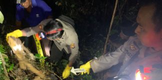 Hendak Cari Kayu Dihutan, Pelajar Temukan Tengkorak Manusia