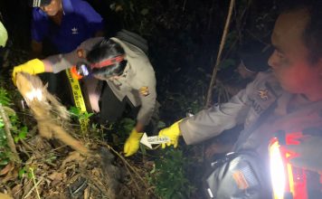 Hendak Cari Kayu Dihutan, Pelajar Temukan Tengkorak Manusia