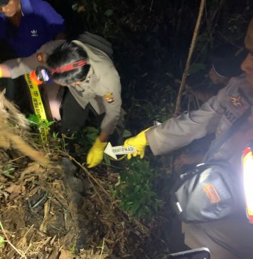 Hendak Cari Kayu Dihutan, Pelajar Temukan Tengkorak Manusia