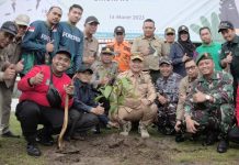 Sekda Ketapang Launching Tanam Satu Juta Pohon Peringatan Hari Bakti Rimbawa ke-40
