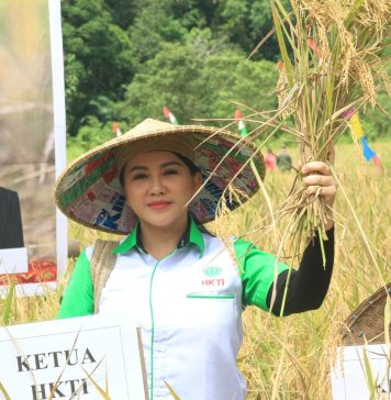 Bersama Pj Bupati Landak, Karolin Lakukan Panen Raya Padi di Serimbu