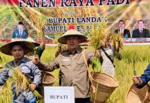 Samuel : Pertanian Merupakan Sektor Yang Berperan Dalam Pembangunan Perekonomian Daerah