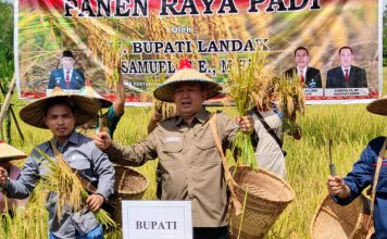 Samuel : Pertanian Merupakan Sektor Yang Berperan Dalam Pembangunan Perekonomian Daerah