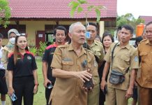 Gerakan Tanam Pohon Serentak, Upaya Rehabilitasi Lahan Kritis