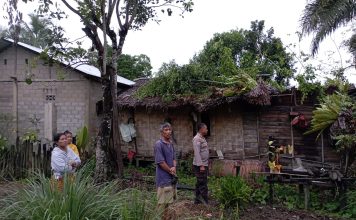 Pohon Tumbang Timpa Rumah Warga di Songga