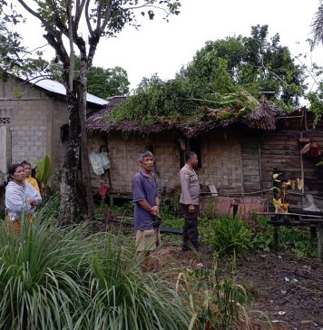 Pohon Tumbang Timpa Rumah Warga di Songga