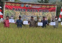 Samuel : Kabupaten Landak Salah Satu Lumbung Beras di Provinsi Kalbar