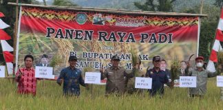 Samuel : Kabupaten Landak Salah Satu Lumbung Beras di Provinsi Kalbar