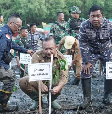 Sekda Ketapang Turun Langsung Tanam Mangrove di Pantai Celincing Puncak Penanaman Mangrove Nasional Serentak
