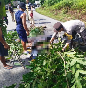 Wanita Muda Warga Landak Meninggal Dunia Dalam Kecelakaan Maut di Jalan Trans Kalimantan